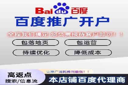 成功SEM服务案例分析报告